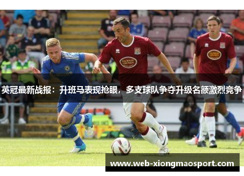 英冠最新战报：升班马表现抢眼，多支球队争夺升级名额激烈竞争