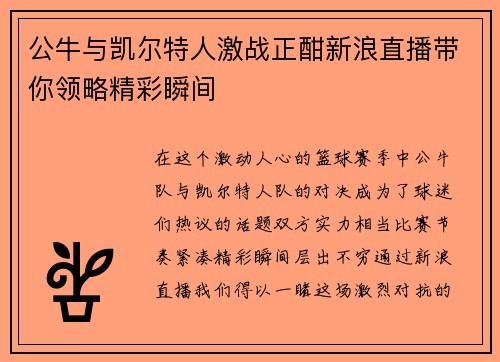 公牛与凯尔特人激战正酣新浪直播带你领略精彩瞬间